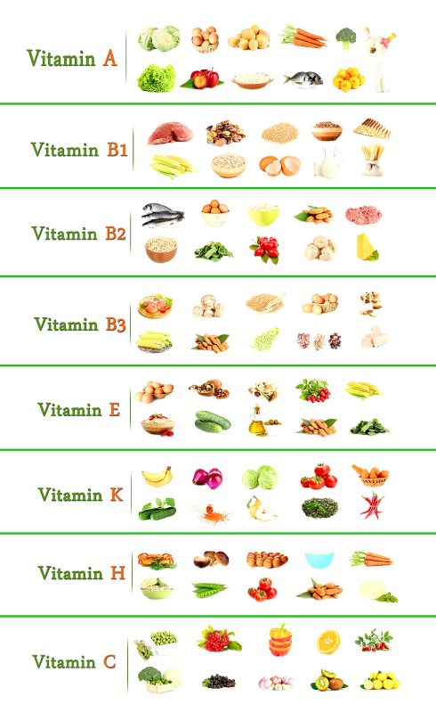 Übersicht der Vitamine und ihres Vorkommens 