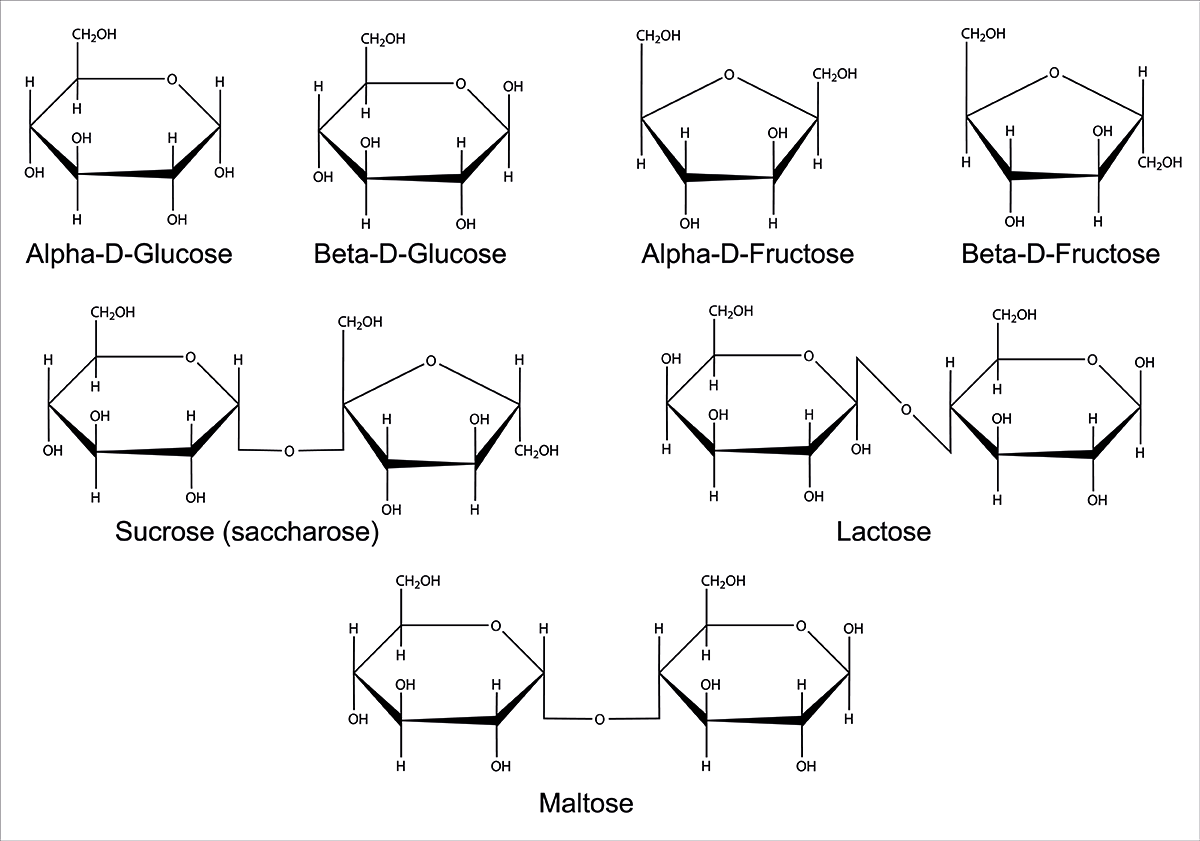 Strukturformel der Laktose
